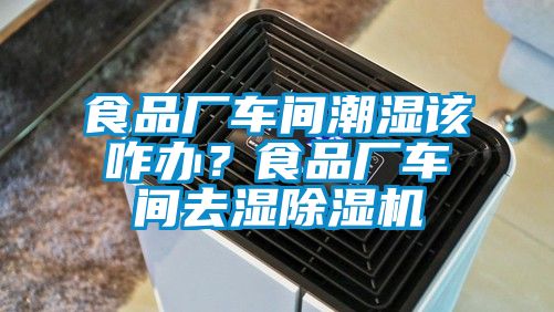 食品廠車間潮濕該咋辦？食品廠車間去濕除濕機(jī)