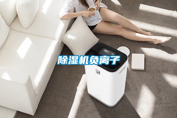除濕機負(fù)離子