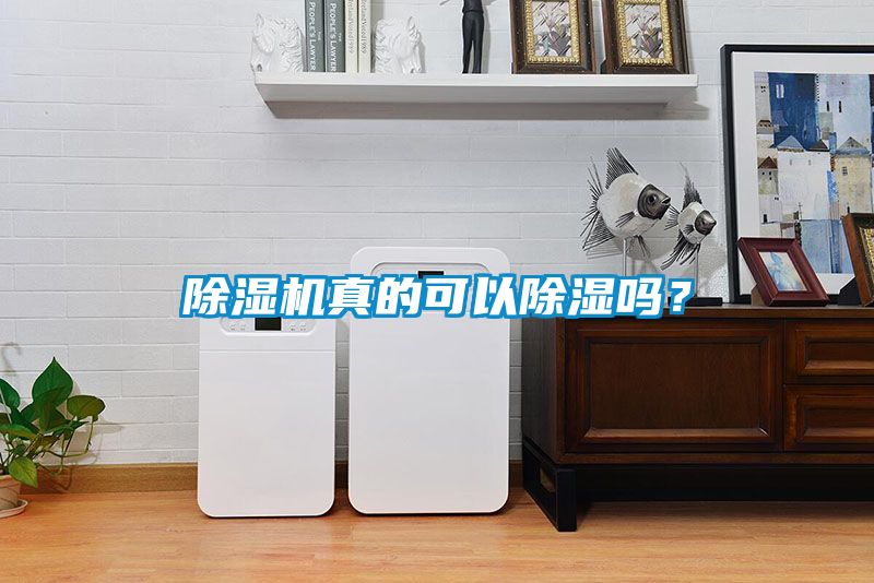 除濕機(jī)真的可以除濕嗎？
