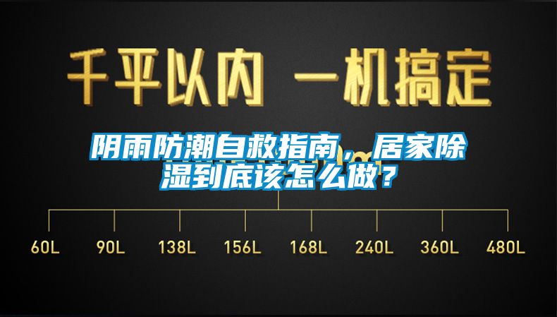 陰雨防潮自救指南，居家除濕到底該怎么做？