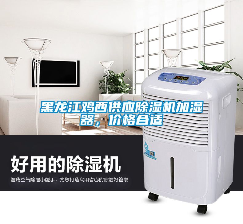 黑龍江雞西供應(yīng)除濕機(jī)加濕器，價(jià)格合適