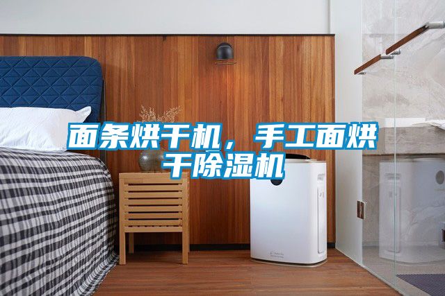 面條烘干機(jī)，手工面烘干除濕機(jī)
