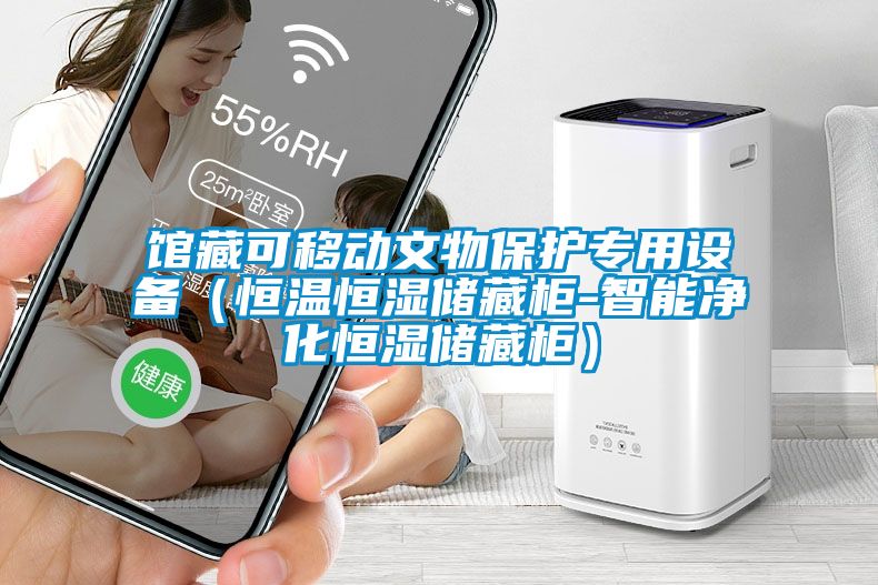 館藏可移動文物保護(hù)專用設(shè)備（恒溫恒濕儲藏柜-智能凈化恒濕儲藏柜）