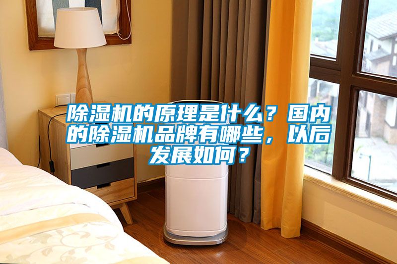 除濕機(jī)的原理是什么？國(guó)內(nèi)的除濕機(jī)品牌有哪些，以后發(fā)展如何？