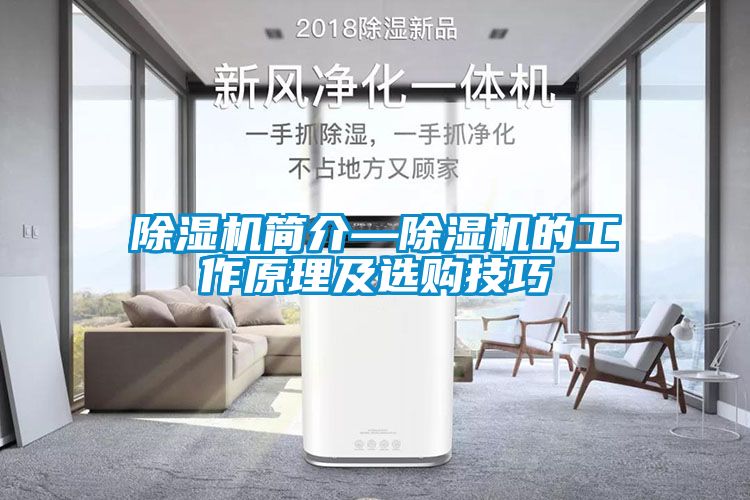 除濕機(jī)簡介—除濕機(jī)的工作原理及選購技巧