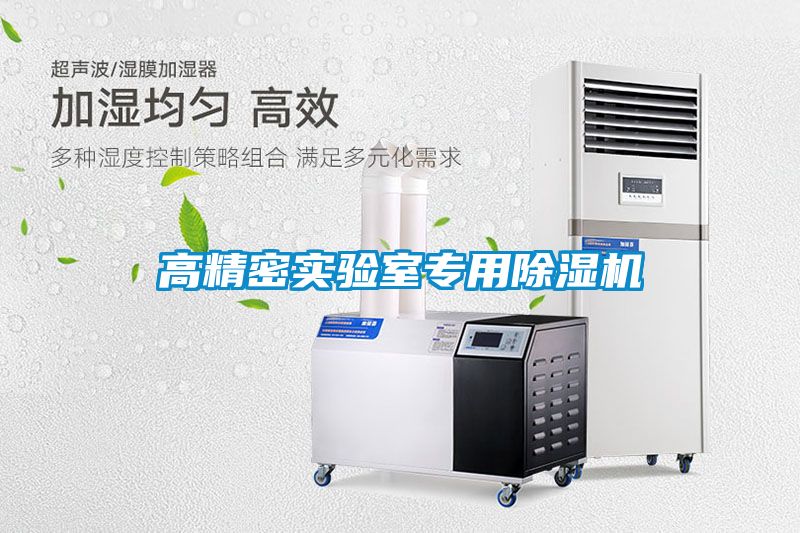 高精密實驗室專用除濕機(jī)