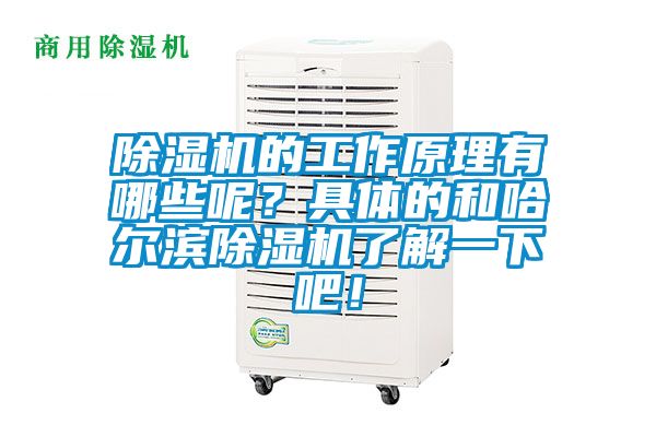除濕機(jī)的工作原理有哪些呢？具體的和哈爾濱除濕機(jī)了解一下吧！