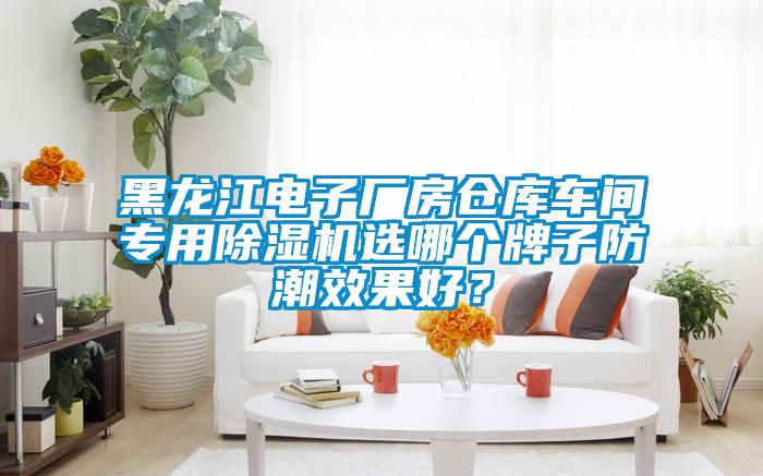 黑龍江電子廠房倉(cāng)庫(kù)車間專用除濕機(jī)選哪個(gè)牌子防潮效果好？