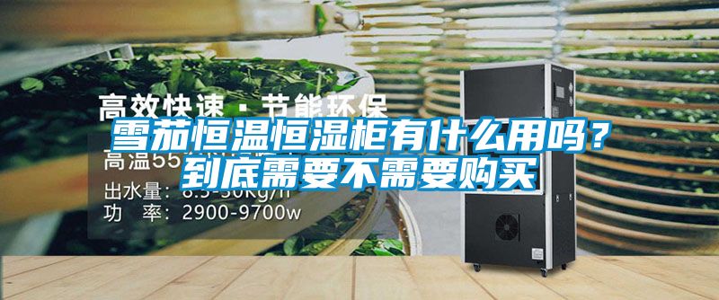 雪茄恒溫恒濕柜有什么用嗎？到底需要不需要購(gòu)買(mǎi)