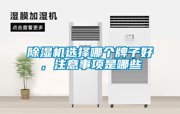 除濕機選擇哪個牌子好，注意事項是哪些