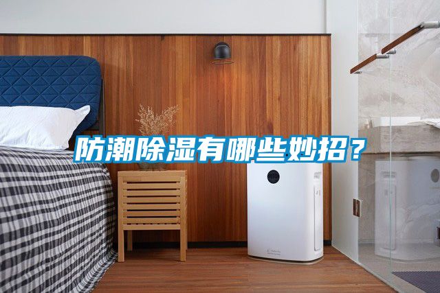 防潮除濕有哪些妙招？
