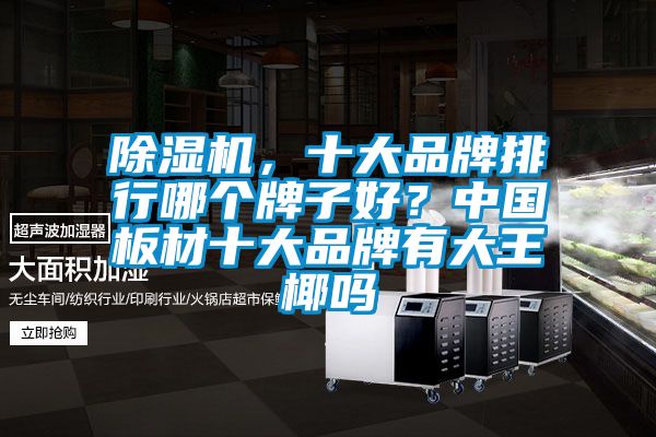 除濕機(jī)，十大品牌排行哪個(gè)牌子好？中國(guó)板材十大品牌有大王椰嗎