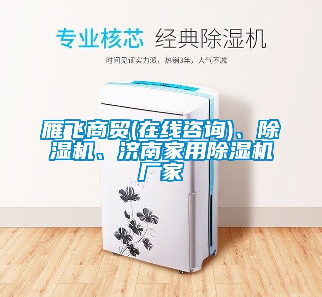 雁飛商貿(mào)(在線咨詢)、除濕機(jī)、濟(jì)南家用除濕機(jī)廠家