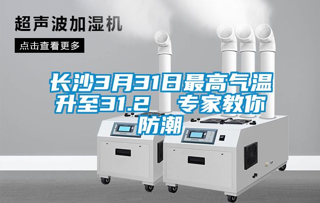 長(zhǎng)沙3月31日最高氣溫升至31.2℃ 專(zhuān)家教你防潮