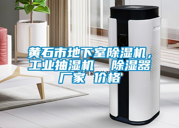 黃石市地下室除濕機(jī)，工業(yè)抽濕機(jī)  除濕器廠家 價(jià)格