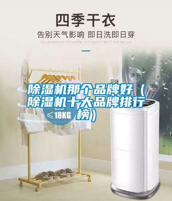 除濕機(jī)那個品牌好（除濕機(jī)十大品牌排行榜）