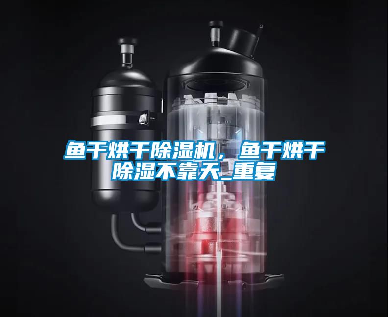 魚干烘干除濕機(jī)，魚干烘干除濕不靠天_重復(fù)
