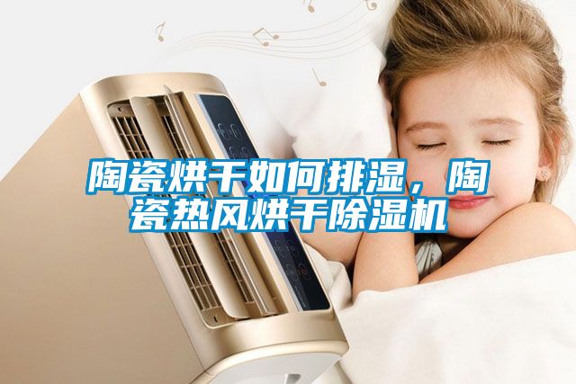 陶瓷烘干如何排濕，陶瓷熱風(fēng)烘干除濕機(jī)