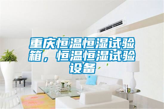 重慶恒溫恒濕試驗(yàn)箱，恒溫恒濕試驗(yàn)設(shè)備