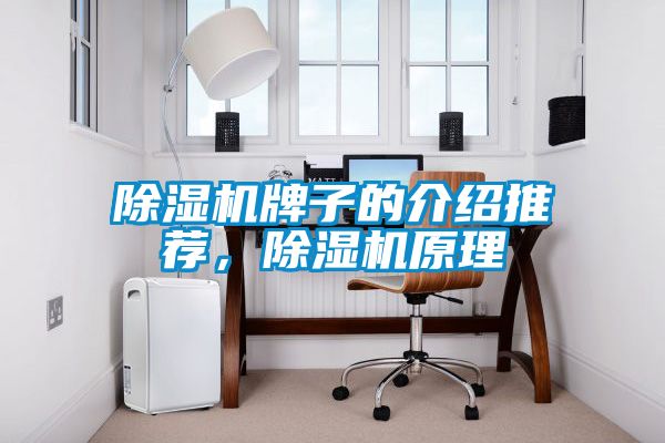 除濕機(jī)牌子的介紹推薦，除濕機(jī)原理