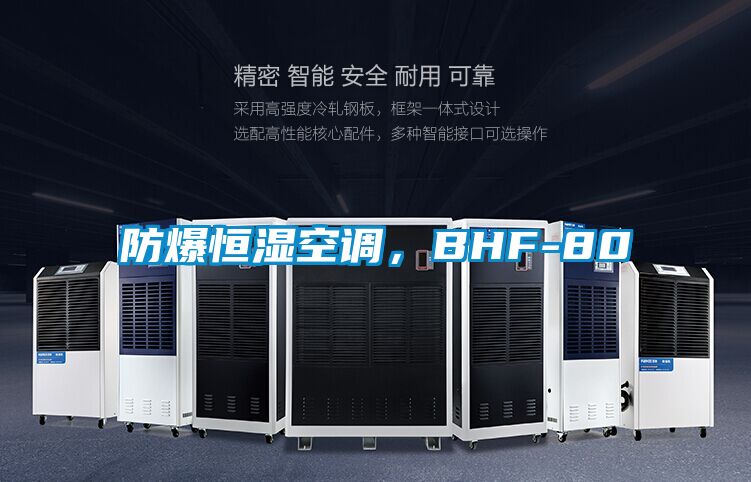 防爆恒濕空調(diào)，BHF-80