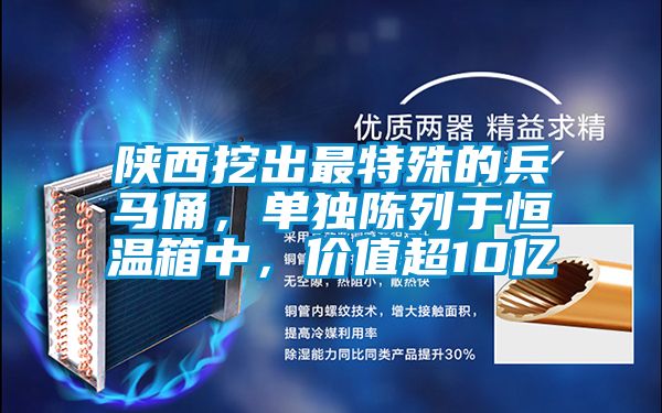 陜西挖出最特殊的兵馬俑，單獨(dú)陳列于恒溫箱中，價(jià)值超10億