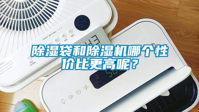 除濕袋和除濕機哪個性價比更高呢？