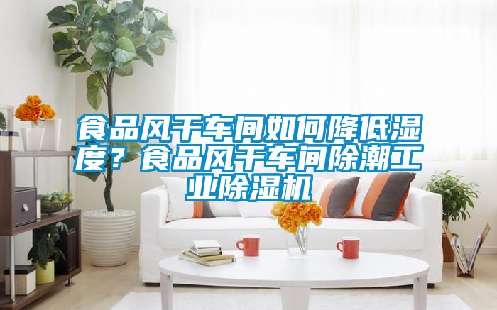 食品風(fēng)干車間如何降低濕度？食品風(fēng)干車間除潮工業(yè)除濕機(jī)