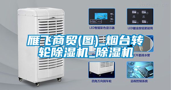 雁飛商貿(mào)(圖)_煙臺轉輪除濕機_除濕機