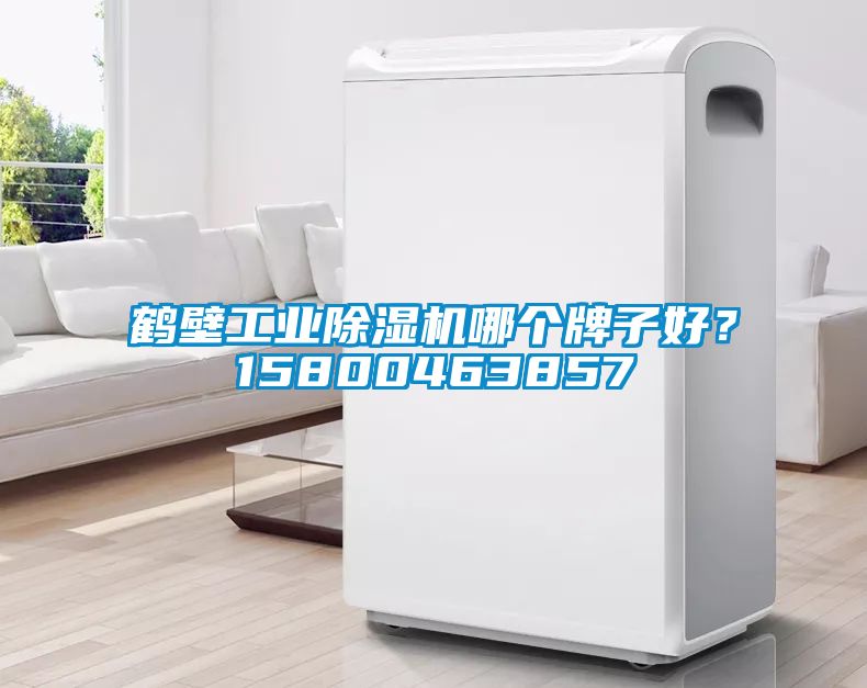 鶴壁工業(yè)除濕機(jī)哪個牌子好？15800463857