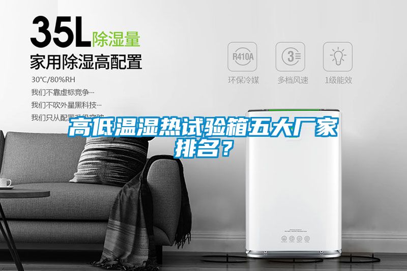 高低溫濕熱試驗(yàn)箱五大廠家排名？