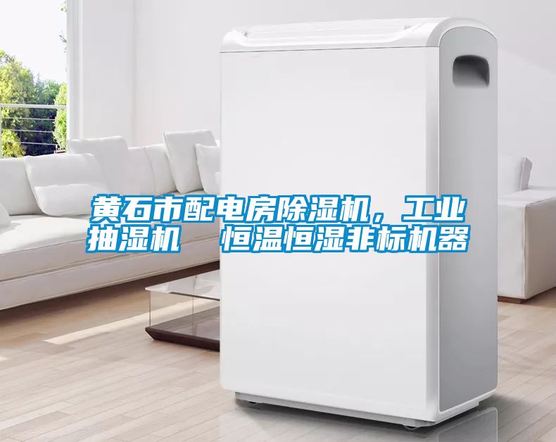 黃石市配電房除濕機，工業(yè)抽濕機  恒溫恒濕非標機器
