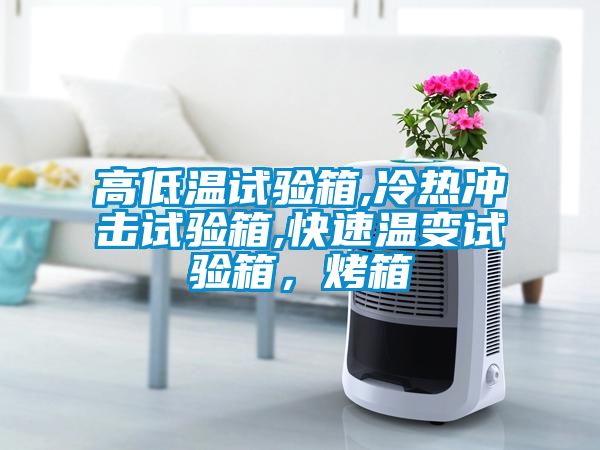 高低溫試驗(yàn)箱,冷熱沖擊試驗(yàn)箱,快速溫變?cè)囼?yàn)箱，烤箱