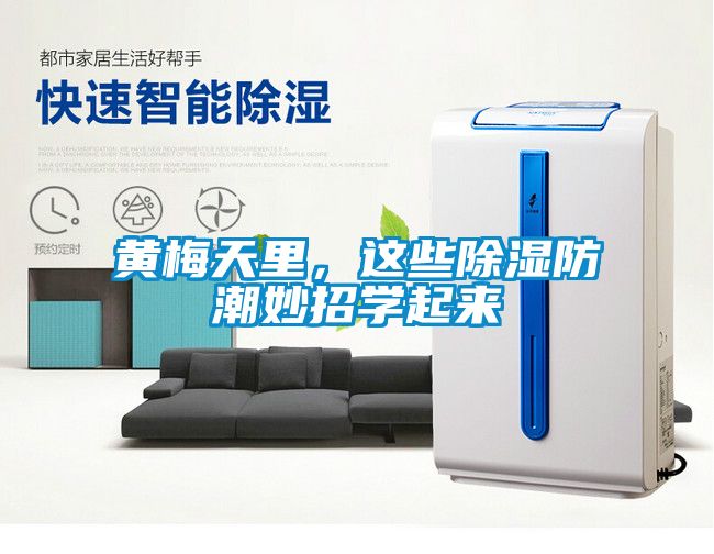 黃梅天里，這些除濕防潮妙招學(xué)起來(lái)
