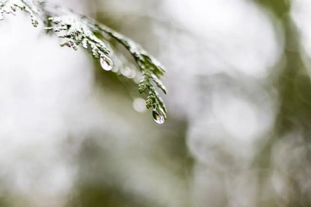 空氣濕度大帶來的危害有哪些，你知道嗎？