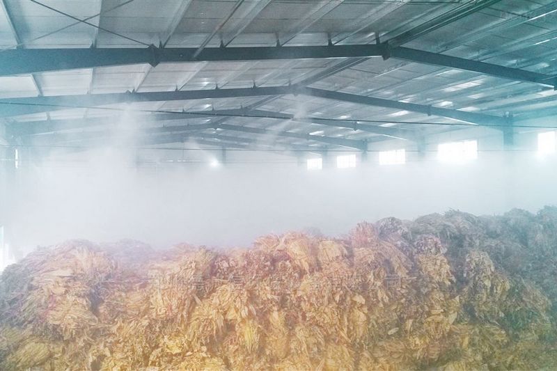 提升煙葉加工質量，高效回潮很重要 煙葉除濕機