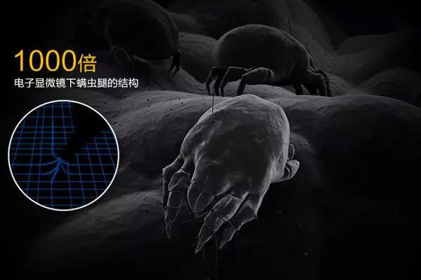 螨蟲高發(fā)季，家用除濕機(jī)除螨有妙計！