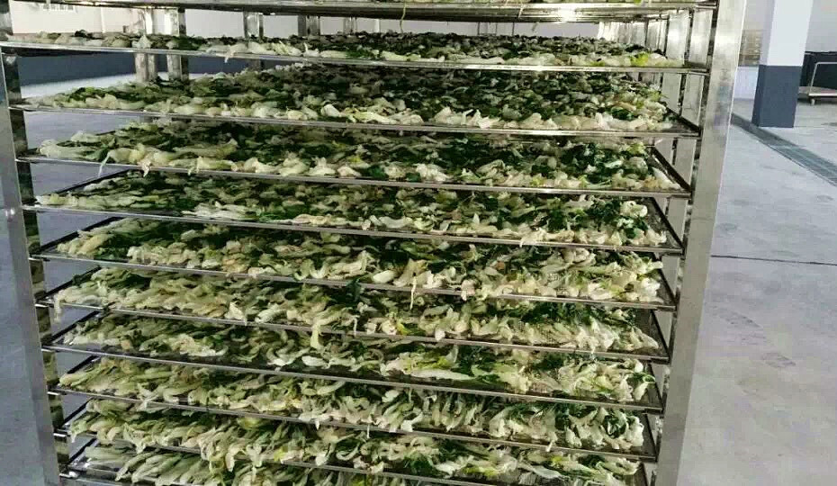 菜干需求一直都很大，蔬菜烘干機(jī)很有市場(chǎng)