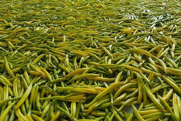 無硫金針菜烘干如何保持品相？不發(fā)黑？