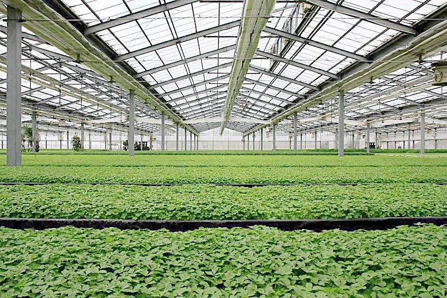 除濕器如何解決高濕度、多種危害的溫室除濕問題？